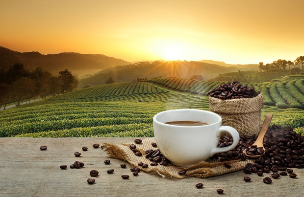 Kann Kaffee Geschwüre verursachen