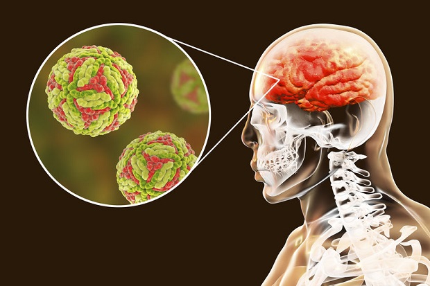 clarithromycin 500 mg used for sinus infection