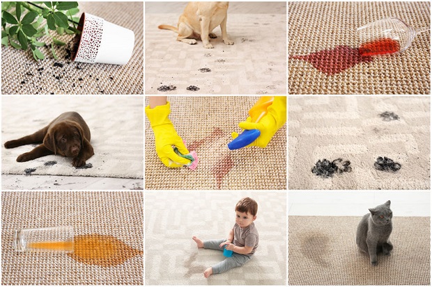 Carpet Stain Solutions – Blood, Chewing Gum, Grease, Lipstick, and Red Wine